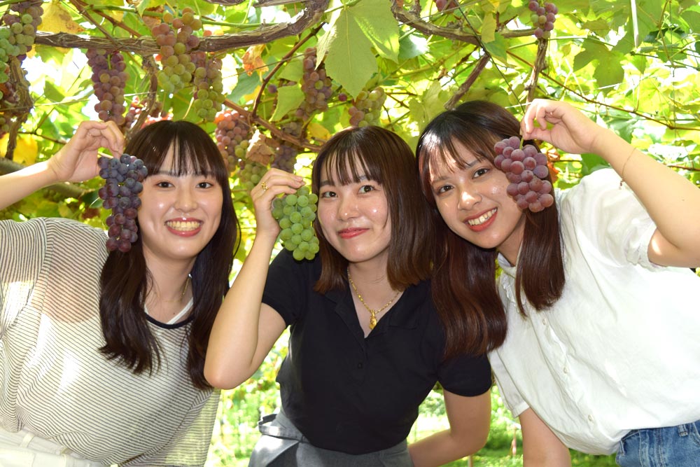 天童自動車学校 フルーツ狩り