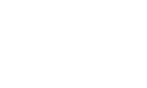 TORUZO column
