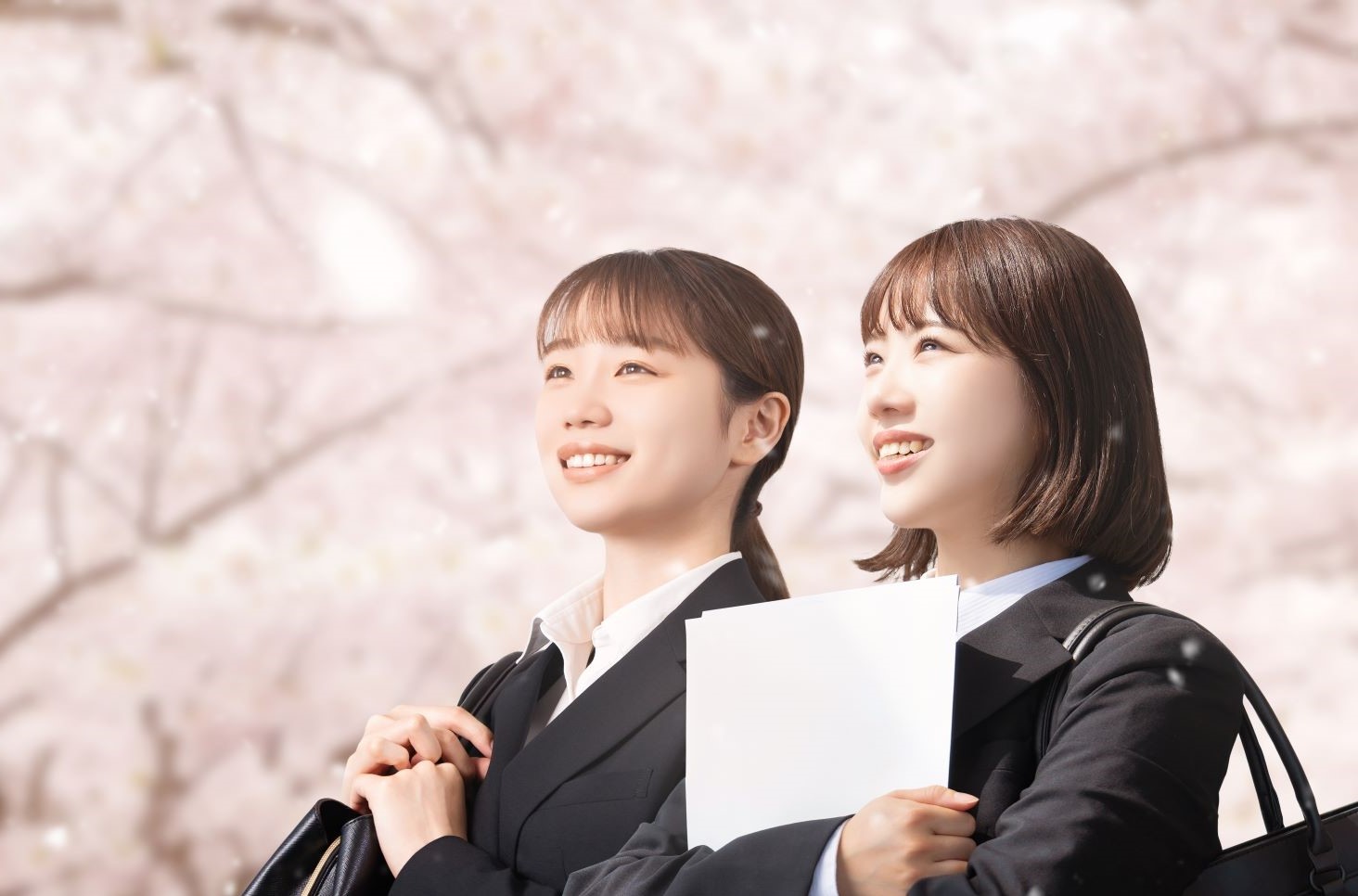 学生にオススメの合宿免許